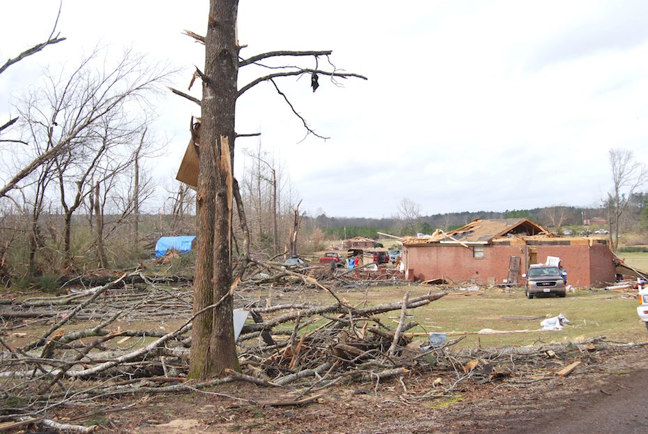 The December 23 storms ravaged Holly Springs