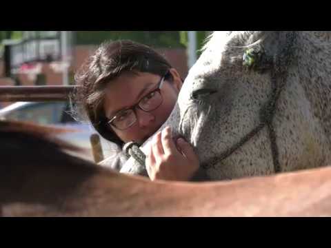 youtube placeholder image